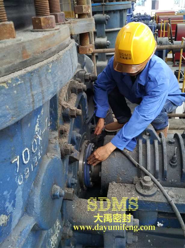 強大泵TLJ220機械密封現場