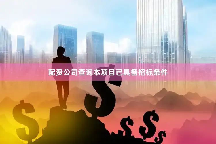 配资公司查询本项目已具备招标条件