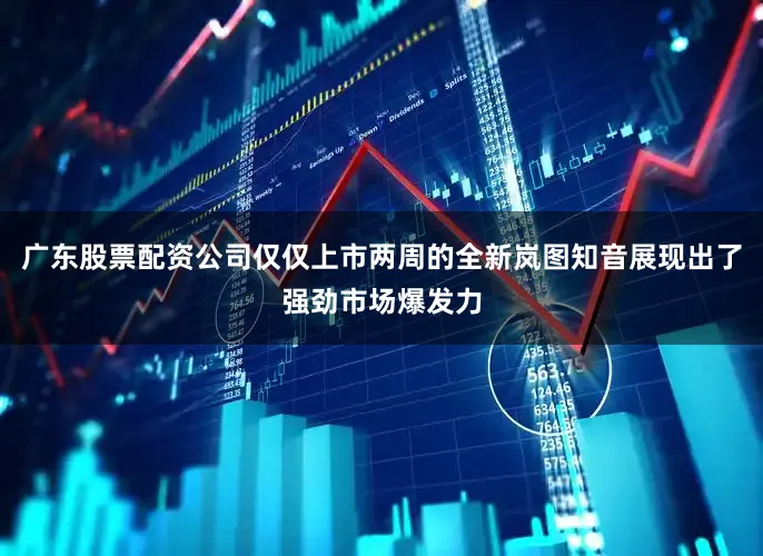 广东股票配资公司仅仅上市两周的全新岚图知音展现出了强劲市场爆发力